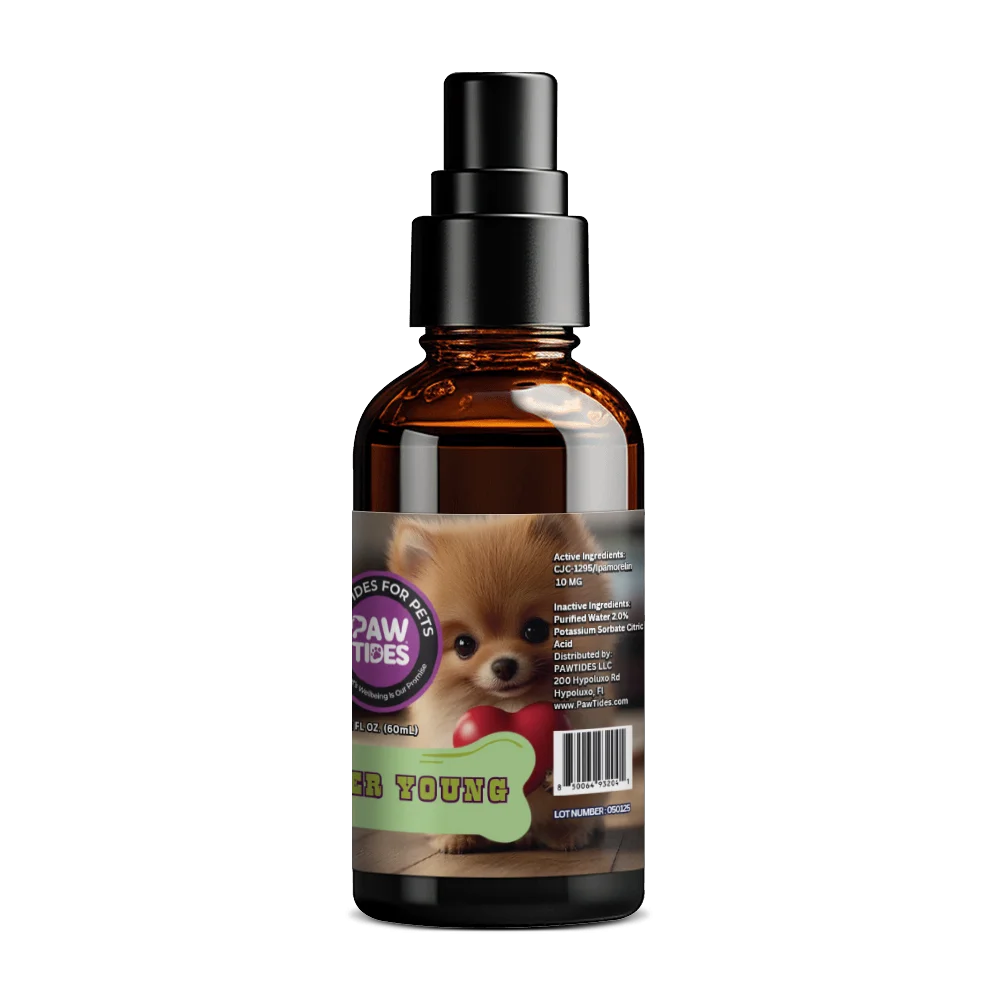 Forever Young - Image 2