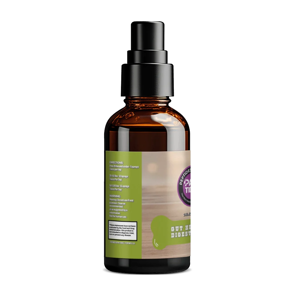 Gut Health - Image 3