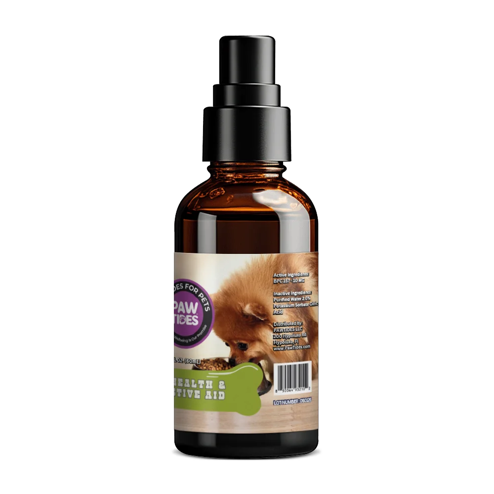 Gut Health - Image 2