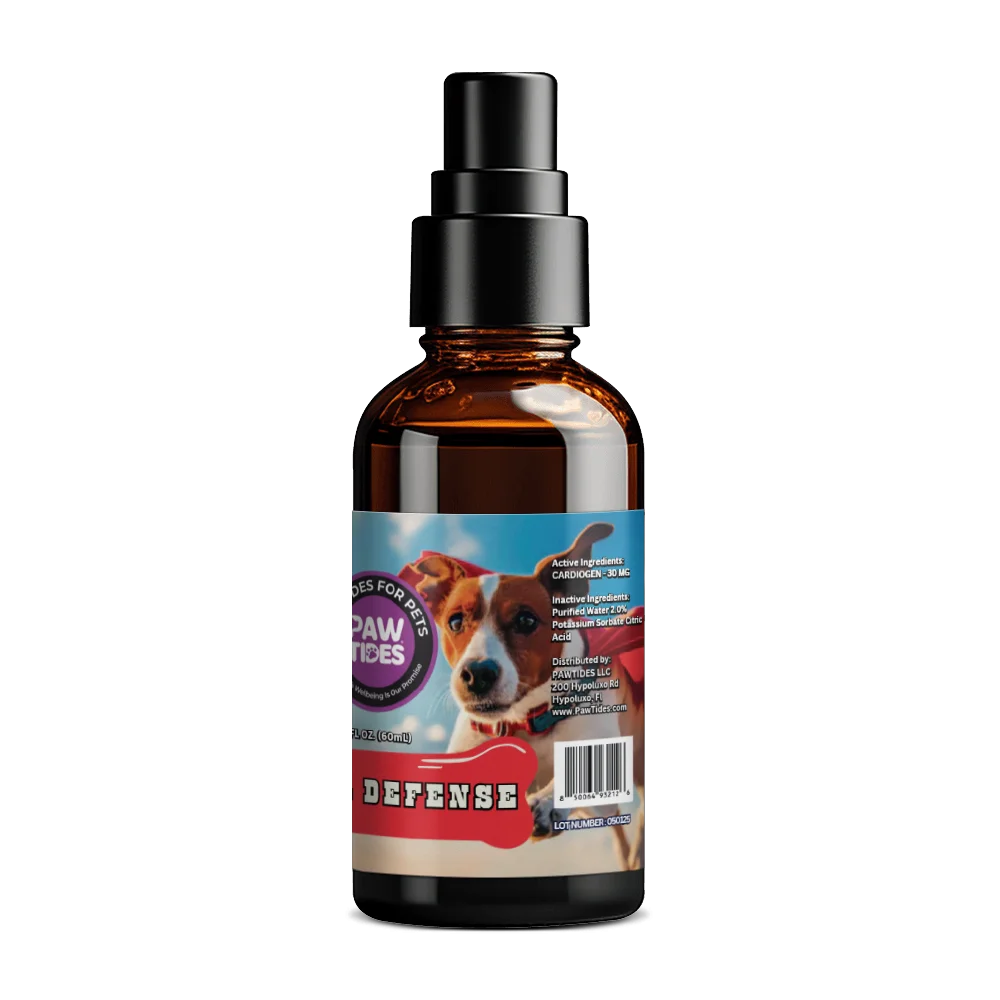 Super Defense - Image 2