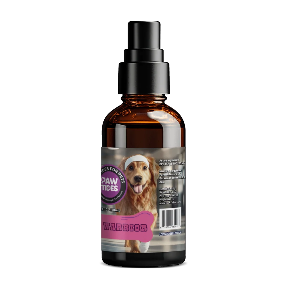 Wound Warrior - Image 2